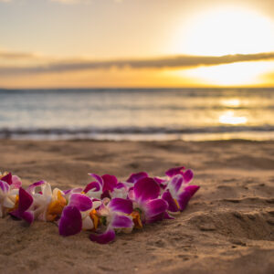 hawaii beach retreat